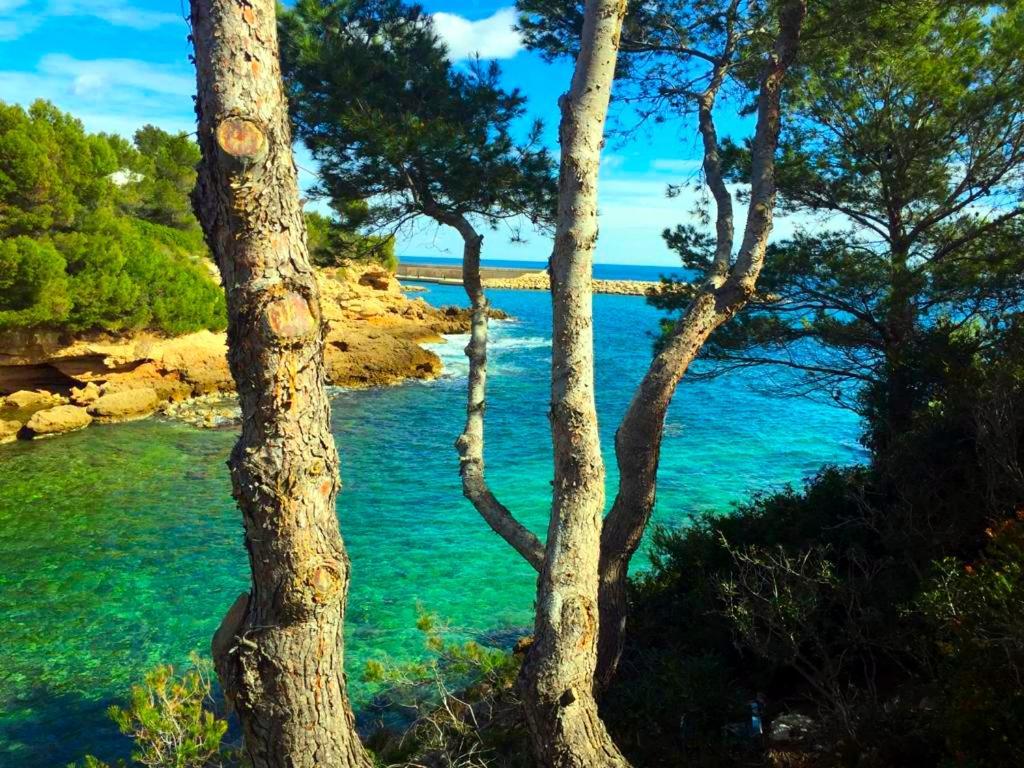 La Perla De La Ostra Platja de l’Almadrava Exterior foto